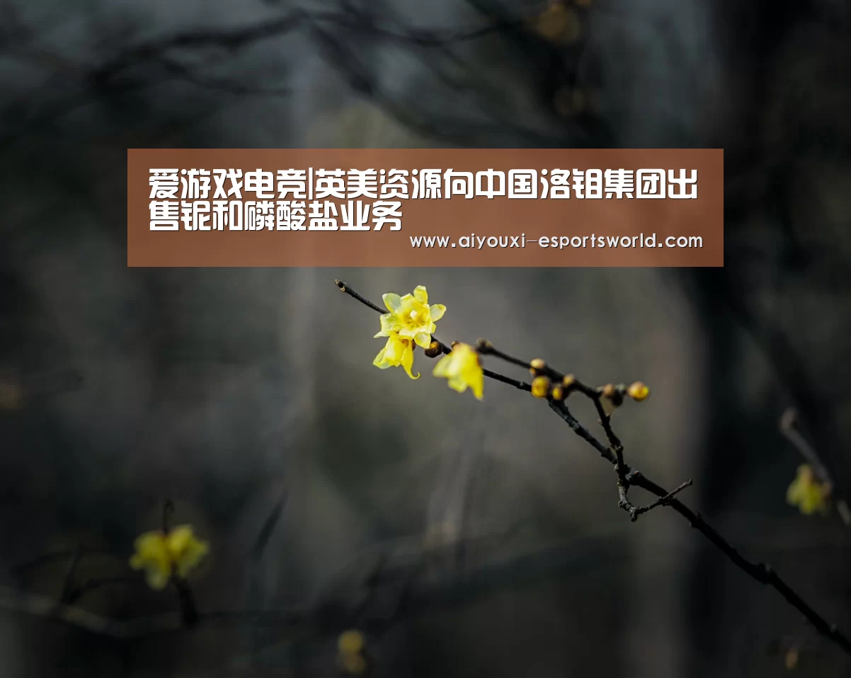 爱游戏电竞