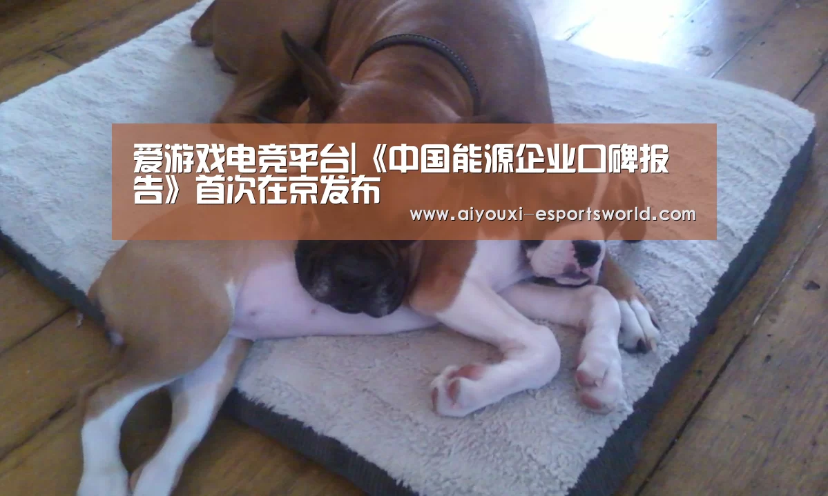 爱游戏电竞直播