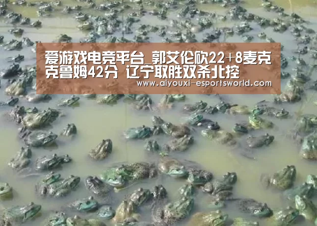 爱游戏电竞平台_郭艾伦砍22+8麦克克鲁姆42分 辽宁取胜双杀北控(图3) 爱游戏电竞竞猜