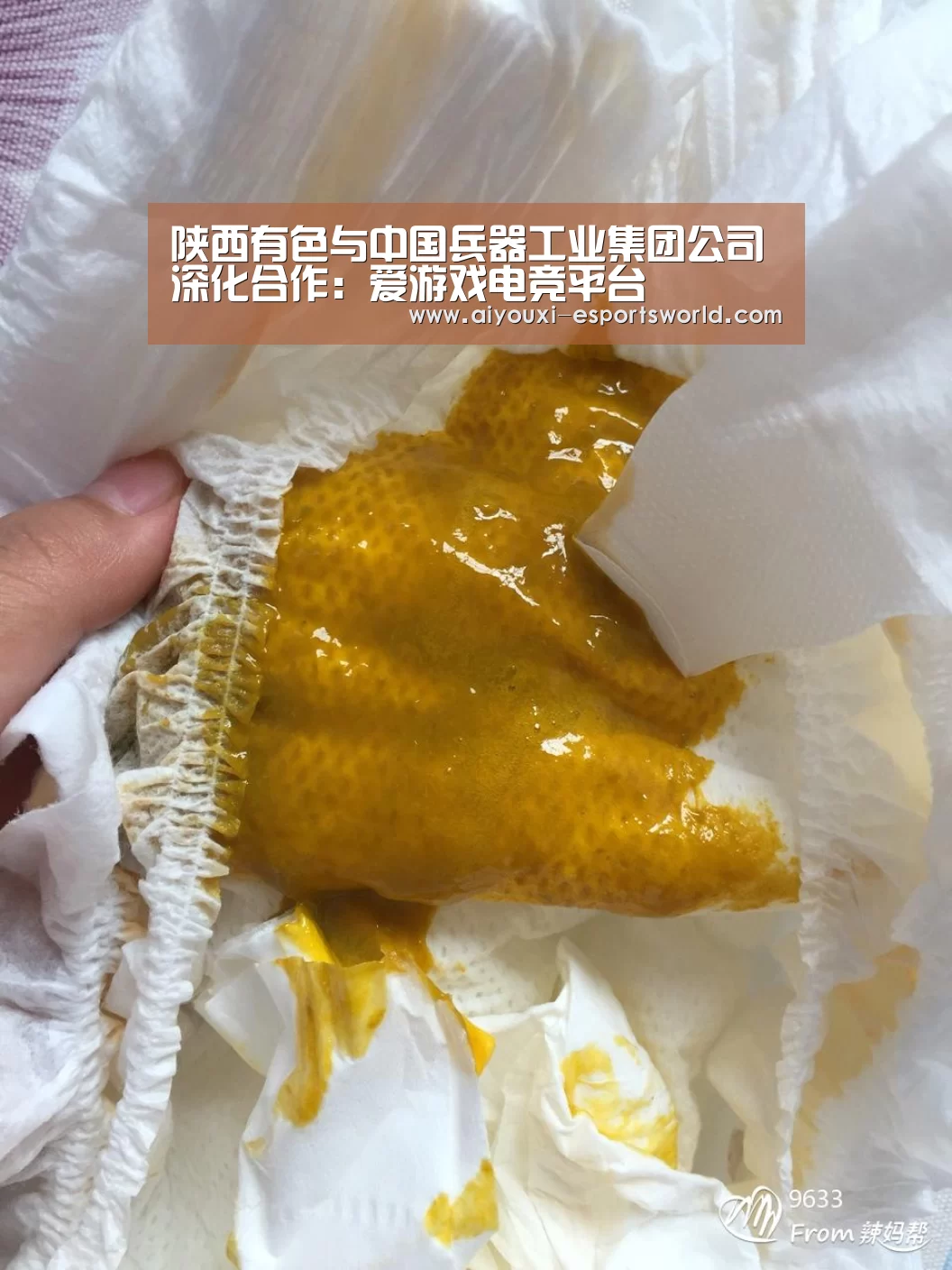 陕西有色与中国兵器工业集团公司深化合作:爱游戏电竞平台(图1) 爱游戏电竞平台