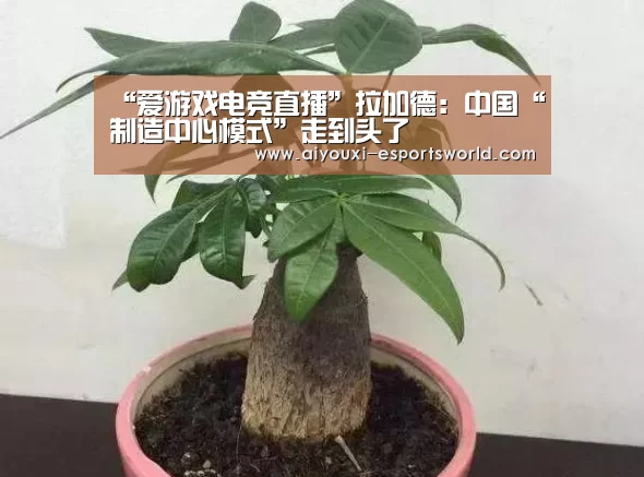 爱游戏电竞竞猜